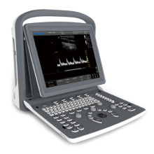 Ultrassônica Ultrasound Scanner preto branco Doppler portátil portátil (SC-ECO2)